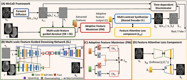 Figure 1 for McCaD: Multi-Contrast MRI Conditioned, Adaptive Adversarial Diffusion Model for High-Fidelity MRI Synthesis