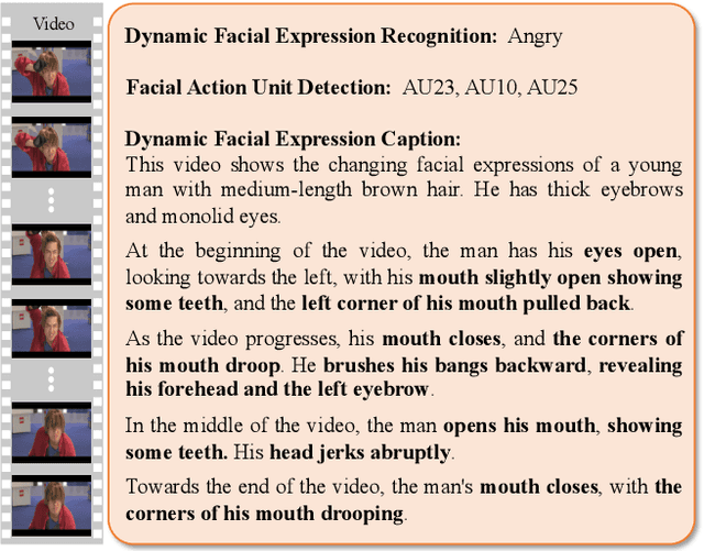 Figure 1 for Facial Dynamics in Video: Instruction Tuning for Improved Facial Expression Perception and Contextual Awareness