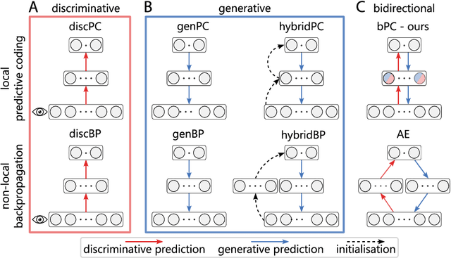Figure 1 for Bidirectional predictive coding