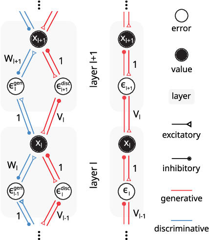 Figure 3 for Bidirectional predictive coding