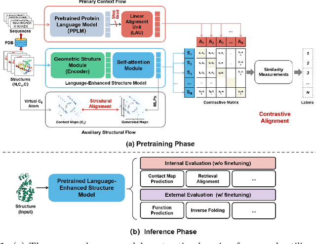 Figure 1 for Lightweight Contrastive Protein Structure-Sequence Transformation