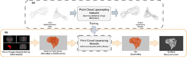 Figure 1 for Point Cloud Upsampling as Statistical Shape Model for Pelvic