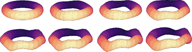 Figure 4 for A function space perspective on stochastic shape evolution
