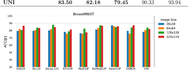 Figure 4 for Evaluating Pre-trained Convolutional Neural Networks and Foundation Models as Feature Extractors for Content-based Medical Image Retrieval