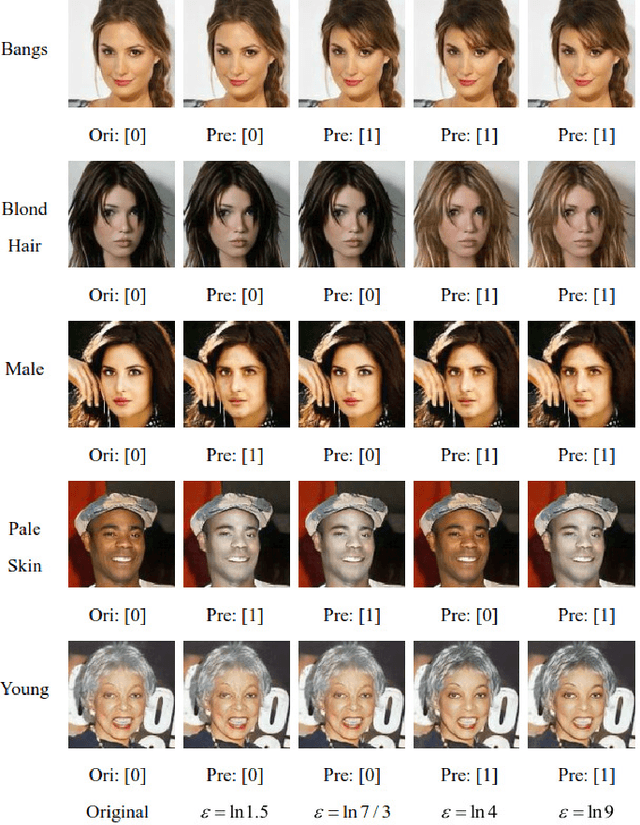 Figure 2 for SemDP: Semantic-level Differential Privacy Protection for Face Datasets