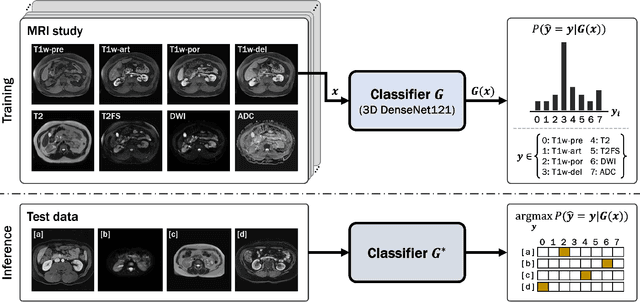 Figure 1 for Automated classification of multi-parametric body MRI series