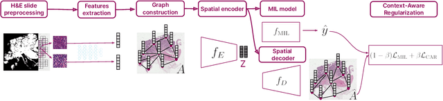 Figure 1 for CARMIL: Context-Aware Regularization on Multiple Instance Learning models for Whole Slide Images