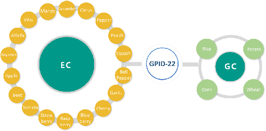 Figure 3 for Self-supervised transformer-based pre-training method with General Plant Infection dataset