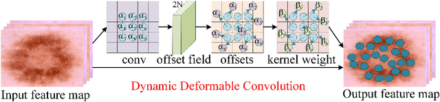 Figure 3 for CiT-Net: Convolutional Neural Networks Hand in Hand with Vision Transformers for Medical Image Segmentation