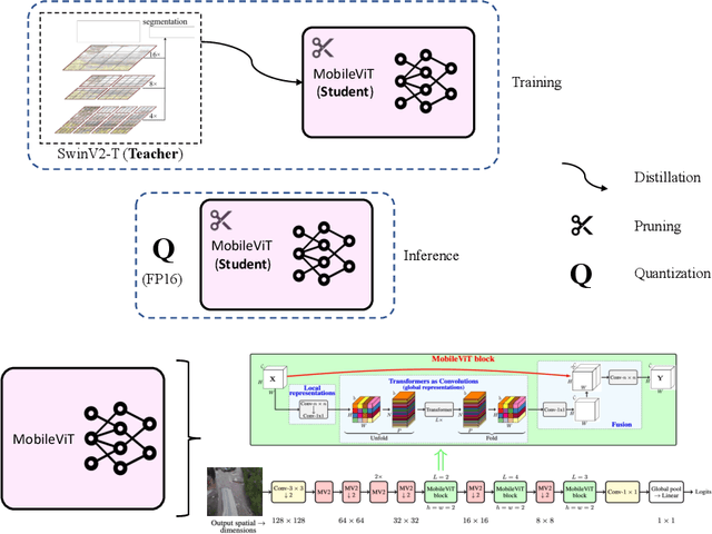 Figure 1 for Compressing Vision Transformers for Low-Resource Visual Learning