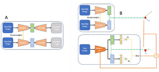 Figure 1 for Unveiling the Two-Faced Truth: Disentangling Morphed Identities for Face Morphing Detection