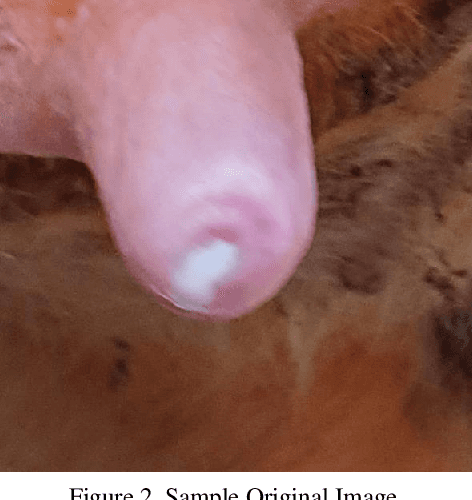 Figure 3 for A Self-attention Residual Convolutional Neural Network for Health Condition Classification of Cow Teat Images