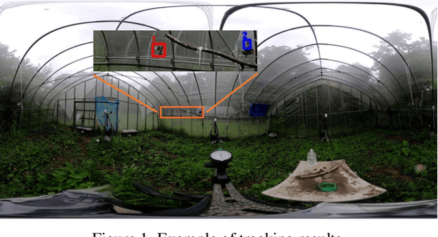 Figure 1 for Tracking Small Birds by Detection Candidate Region Filtering and Detection History-aware Association