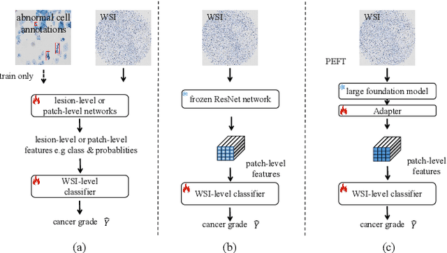 Figure 1 for An efficient framework based on large foundation model for cervical cytopathology whole slide image screening