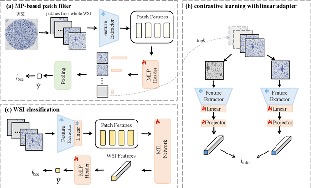 Figure 3 for An efficient framework based on large foundation model for cervical cytopathology whole slide image screening