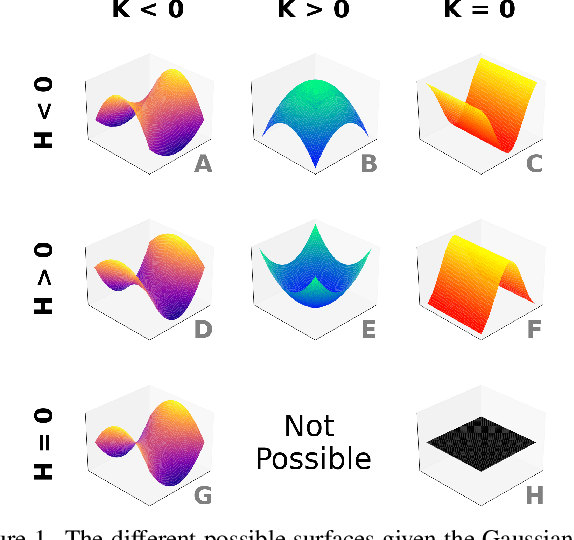 Figure 1 for CanonNet: Canonical Ordering and Curvature Learning for Point Cloud Analysis