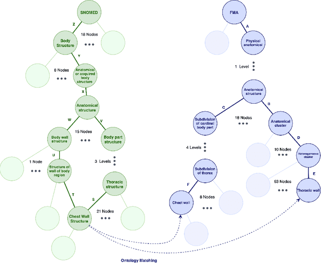 Figure 1 for Truveta Mapper: A Zero-shot Ontology Alignment Framework