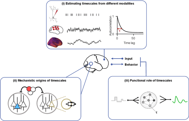 Figure 1 for Neural timescales from a computational perspective