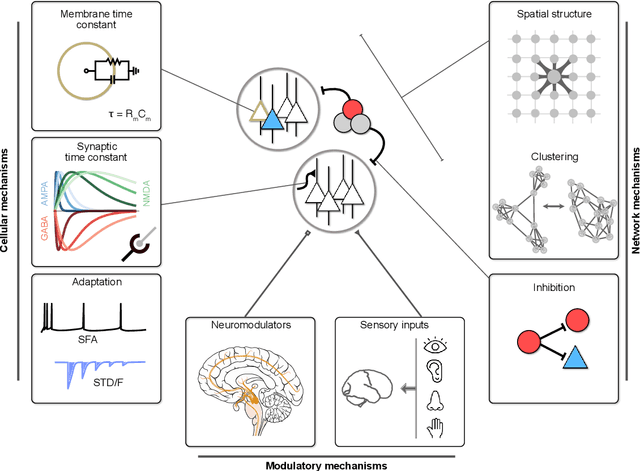 Figure 3 for Neural timescales from a computational perspective