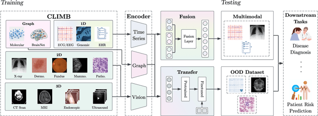 Figure 1 for Data Foundations for Large Scale Multimodal Clinical Foundation Models
