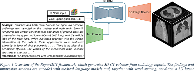 Figure 1 for Radiology Report Conditional 3D CT Generation with Multi Encoder Latent diffusion Model