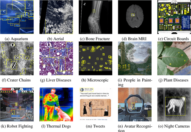 Figure 2 for Roboflow 100: A Rich, Multi-Domain Object Detection Benchmark