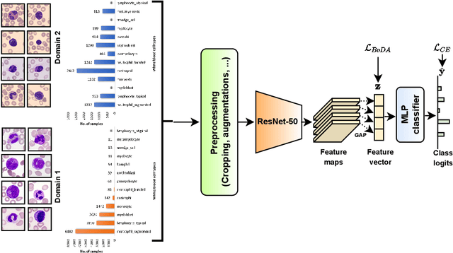 Figure 3 for Imbalanced Domain Generalization for Robust Single Cell Classification in Hematological Cytomorphology