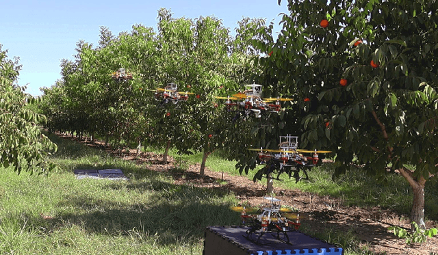 Figure 1 for Towards Safe and Efficient Through-the-Canopy Autonomous Fruit Counting with UAVs