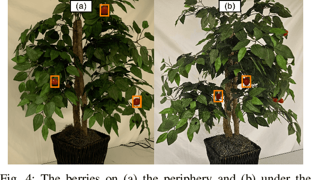 Figure 4 for Precision Harvesting in Cluttered Environments: Integrating End Effector Design with Dual Camera Perception