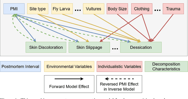 Figure 1 for Modeling human decomposition: a Bayesian approach