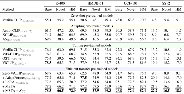 Figure 4 for Efficient Transfer Learning for Video-language Foundation Models