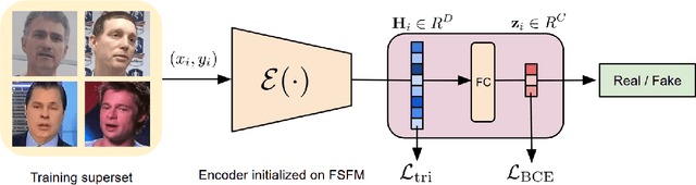 Figure 1 for Improving Generalization in Deepfake Detection with Face Foundation Models and Metric Learning