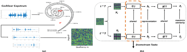 Figure 1 for CochCeps-Augment: A Novel Self-Supervised Contrastive Learning Using Cochlear Cepstrum-based Masking for Speech Emotion Recognition