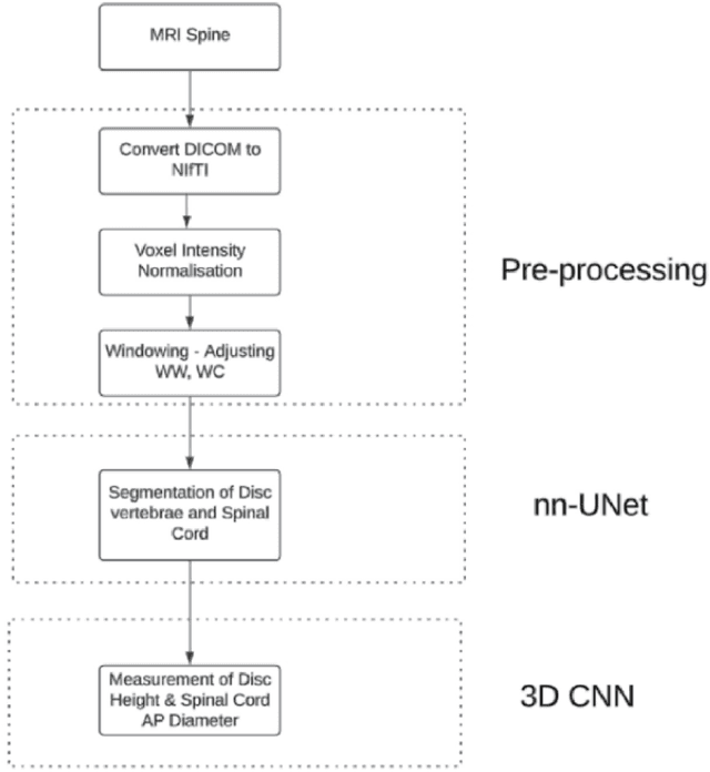 Figure 2 for AI and Deep Learning for Automated Segmentation and Quantitative Measurement of Spinal Structures in MRI