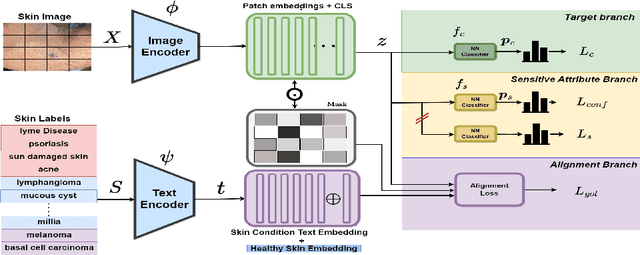 Figure 3 for PatchAlign:Fair and Accurate Skin Disease Image Classification by Alignment with Clinical Labels