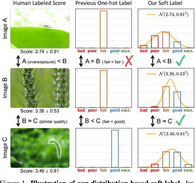 Figure 1 for Teaching Large Language Models to Regress Accurate Image Quality Scores using Score Distribution