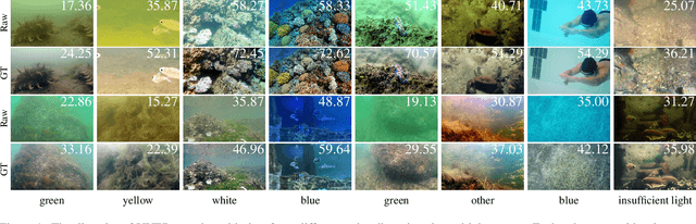 Figure 2 for UVEB: A Large-scale Benchmark and Baseline Towards Real-World Underwater Video Enhancement