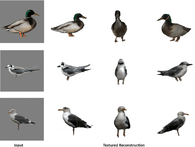 Figure 3 for DRIFu: Differentiable Rendering and Implicit Function-based Single-View 3D Reconstruction