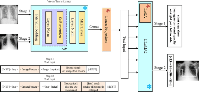 Figure 1 for Parameter-Efficient Fine-Tuning Medical Multimodal Large Language Models for Medical Visual Grounding