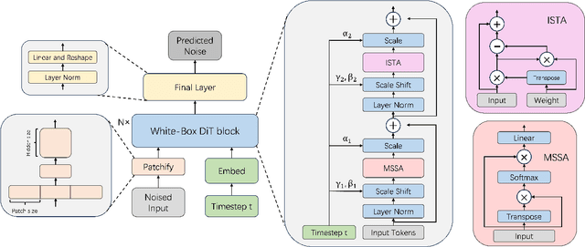 Figure 1 for White-Box Diffusion Transformer for single-cell RNA-seq generation