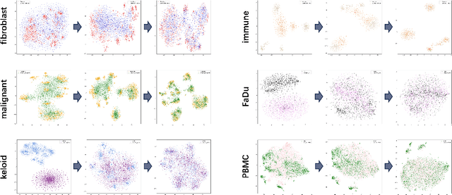 Figure 3 for White-Box Diffusion Transformer for single-cell RNA-seq generation