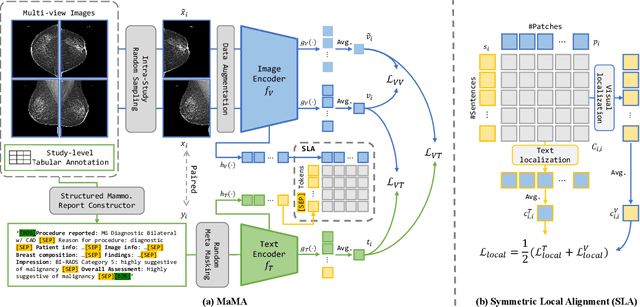 Figure 3 for Multi-View and Multi-Scale Alignment for Contrastive Language-Image Pre-training in Mammography