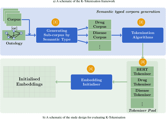 Figure 1 for Infusing clinical knowledge into tokenisers for language models