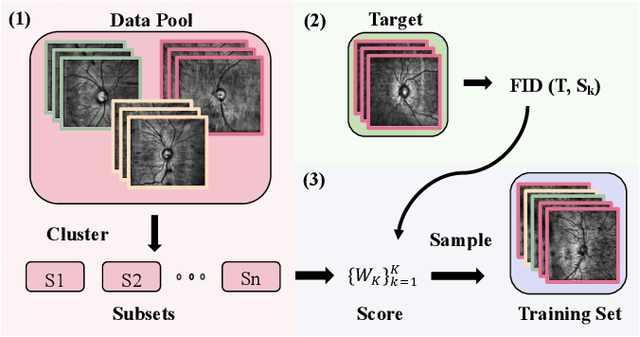 Figure 2 for Unsupervised Search for Ethnic Minorities' Medical Segmentation Training Set