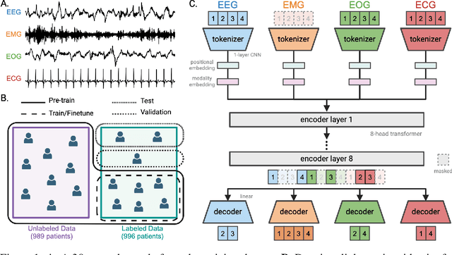 Figure 1 for Promoting cross-modal representations to improve multimodal foundation models for physiological signals