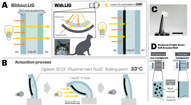 Figure 2 for Nocturnal eye inspired liquid to gas phase change soft actuator with Laser-Induced-Graphene: enhanced environmental light harvesting and photothermal conversion
