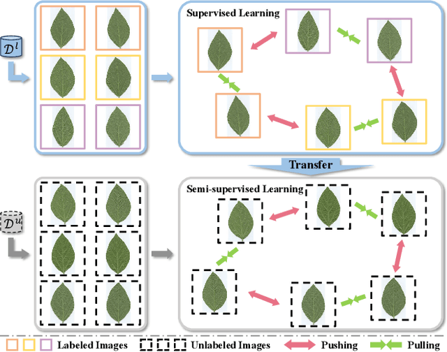 Figure 1 for Novel Class Discovery for Ultra-Fine-Grained Visual Categorization