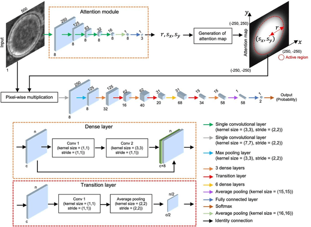 Figure 2 for Deep Learning-based Detection of Bacterial Swarm Motion Using a Single Image