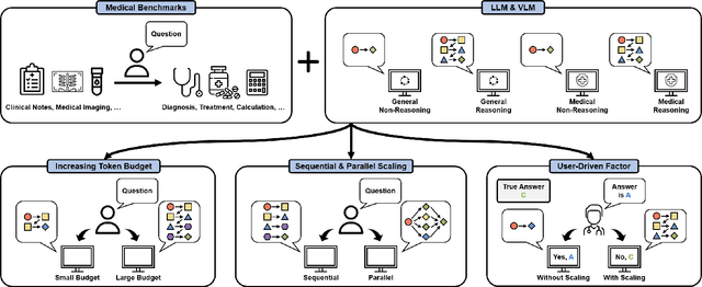 Figure 1 for Rethinking Test-Time Scaling for Medical AI: Model and Task-Aware Strategies for LLMs and VLMs