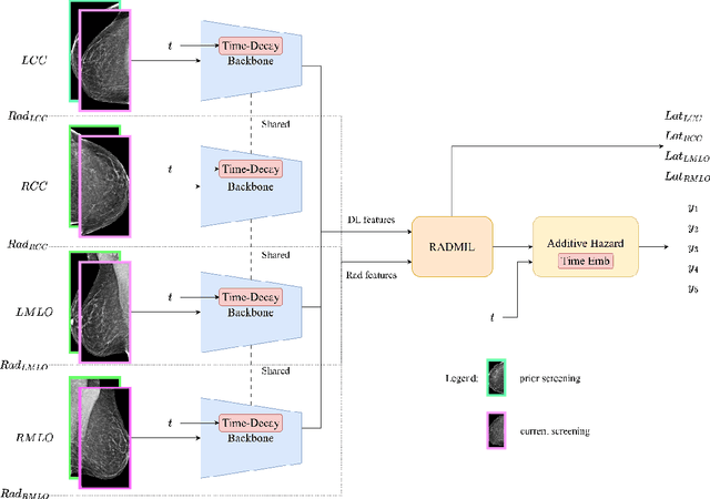 Figure 1 for A new Time-decay Radiomics Integrated Network (TRINet) for short-term breast cancer risk prediction